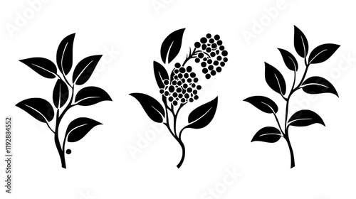 Collection of Black pepper, vectorized food design