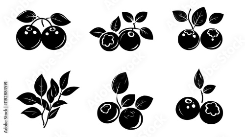 Collection of Blueberry, vectorized food design