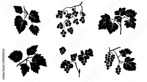 Collection of Currant icons, Currant vectorized seamless pattern