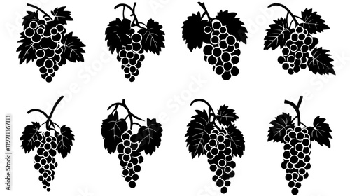 Collection of Grapes continuous icon pattern, Grapes vectorized artwork