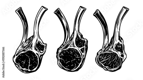 Collection of Lamb Chops, vectorized food design