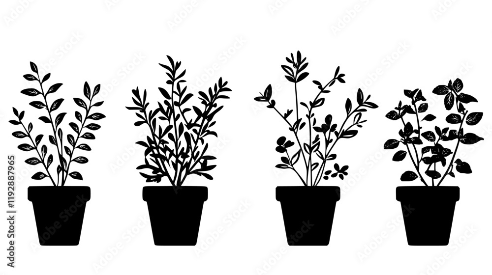 Obraz premium Collection of More Herbs, vectorized food design