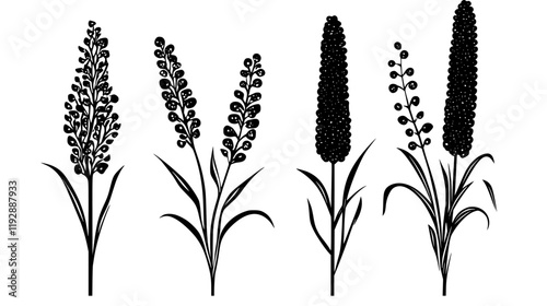 Collection of Millet, vectorized food design