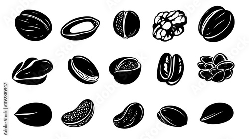 Collection of Raw nuts, vectorized food design