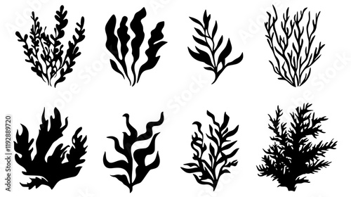 Collection of Seaweed icons, Seaweed vectorized seamless pattern