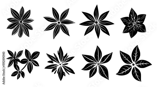 Collection of Star anise, vectorized food design