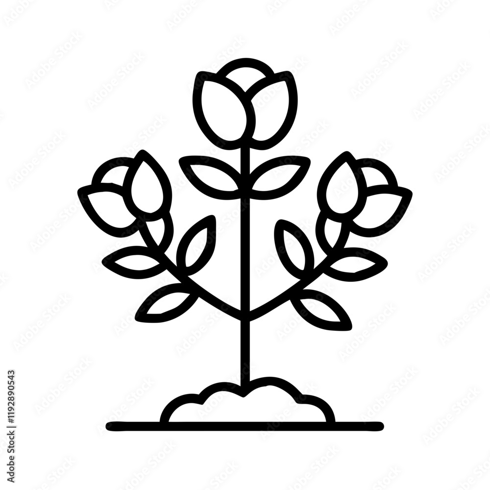 rose bush icon, rose bush line art - simple line art of rose bush, perfect for rose bush logos and icons and themed design rose bush icon, rose bush line art - simple line art of rose bush, perfect for rose bush logos and icons and themed design
