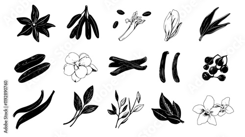 Vanilla Bean tiled design, Vanilla Bean repeating background illustration