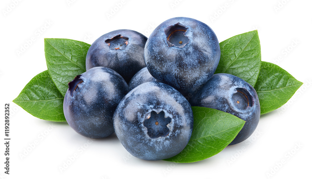 Blueberry and leaves isolated on a white background Blueberry and leaves isolated on a white background
