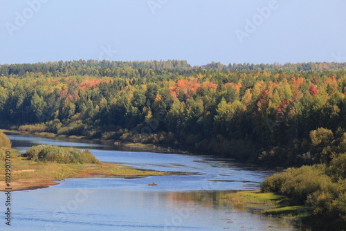 river in the forest in early autumn