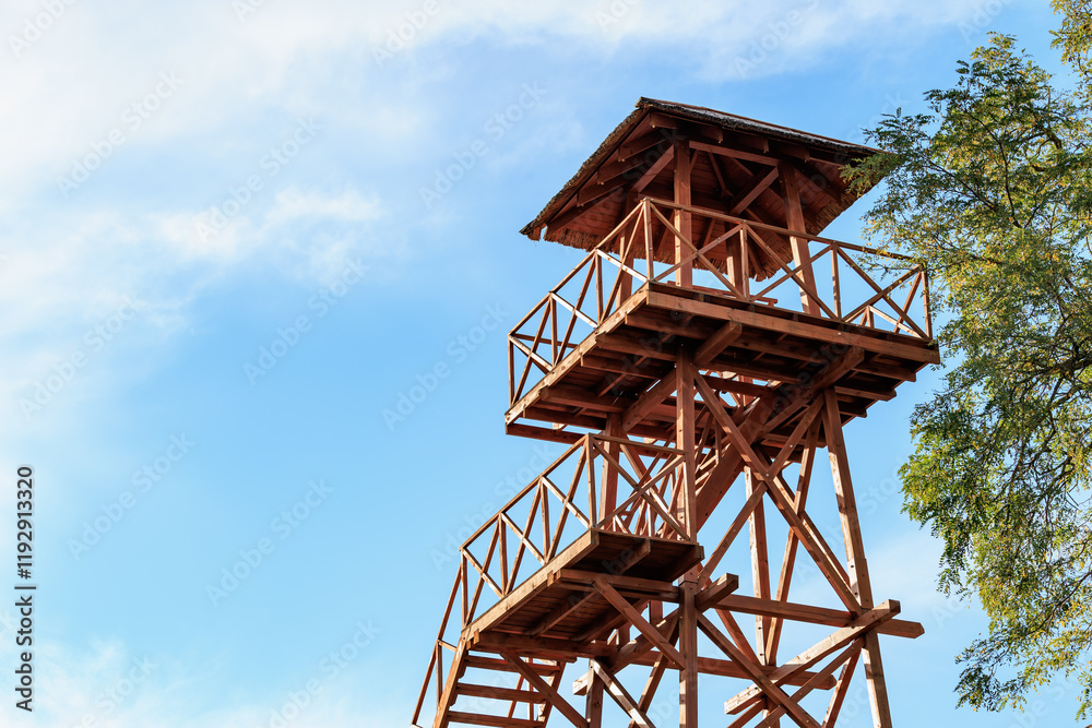 Wooden observation tower against blue sky with tree Wooden observation tower against blue sky with tree