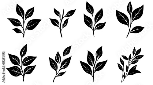 Collection of Bay leaves vector icons, Bay leaves vector art pattern
