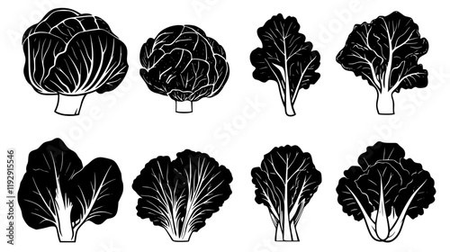 Collection of Cabbage digital art, Cabbage vector graphic, repetitive pattern