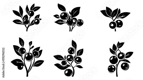 Collection of Cranberry vector icons, Cranberry vector art pattern