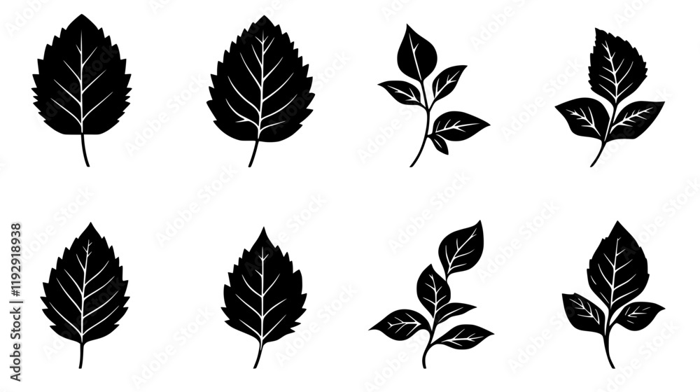 Fototapeta premium Collection of Mint vector icons, Mint vector art pattern