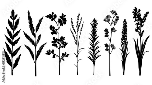 Collection of Millet digital art, Millet vector graphic, repetitive pattern
