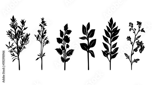 Collection of More Herbs vector icons, More Herbs vector art pattern