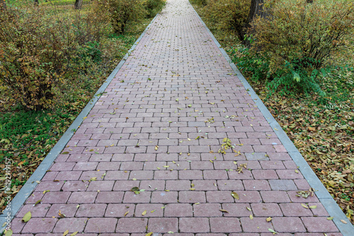 Brick pathway through autumn park with fallen leaves and bushes photo