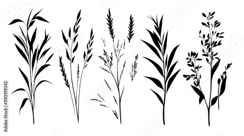 Collection of Oats vector icons, Oats vector art pattern