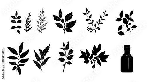 Collection of Neem Oil digital art, Neem Oil vector graphic, repetitive pattern
