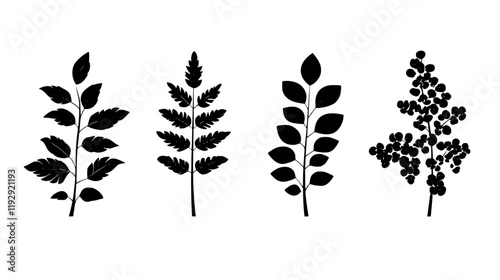 Collection of Sumac digital art, Sumac vector graphic, repetitive pattern