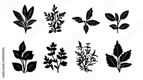 Collection of More Herbs digital art, More Herbs vector graphic, repetitive pattern
