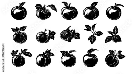 Collection of Persimmon vector icons, Persimmon vector art pattern