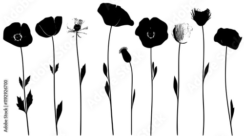Collection of Poppy seeds icons, Poppy seeds illustration art, seamless pattern
