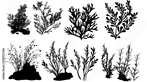 Collection of Seaweed vector icons, Seaweed vector art pattern