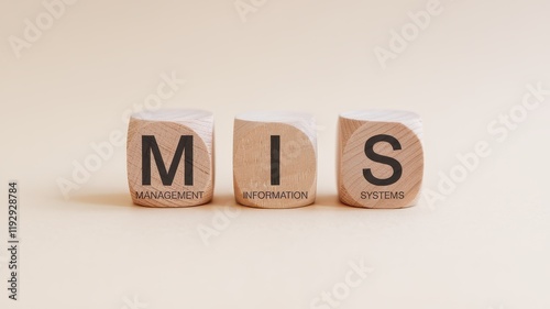 Management Information Systems Integrating data processes and technology to drive efficient enterprise decision making and data driven performance optimization photo