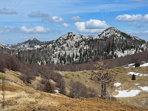 The last remnants of spring snow after a long and harsh mountain winter - Northern Velebit National Park, Croatia (Posljednji proljetni ostaci snijega nakon duge i oštre zime - NP Sjeverni Velebit) photo