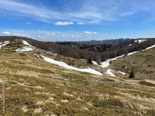 The last remnants of spring snow after a long and harsh mountain winter - Northern Velebit National Park, Croatia (Posljednji proljetni ostaci snijega nakon duge i oštre zime - NP Sjeverni Velebit) photo