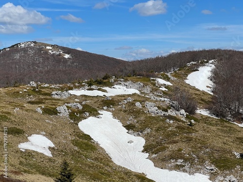 The last remnants of spring snow after a long and harsh mountain winter - Northern Velebit National Park, Croatia (Posljednji proljetni ostaci snijega nakon duge i oštre zime - NP Sjeverni Velebit) photo