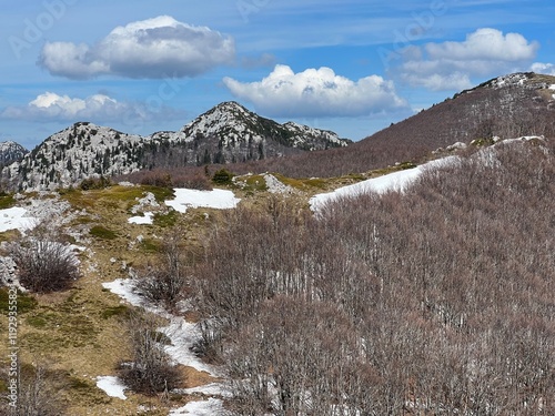 The last remnants of spring snow after a long and harsh mountain winter - Northern Velebit National Park, Croatia (Posljednji proljetni ostaci snijega nakon duge i oštre zime - NP Sjeverni Velebit) photo