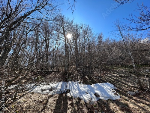 The last remnants of spring snow after a long and harsh mountain winter - Northern Velebit National Park, Croatia (Posljednji proljetni ostaci snijega nakon duge i oštre zime - NP Sjeverni Velebit) photo