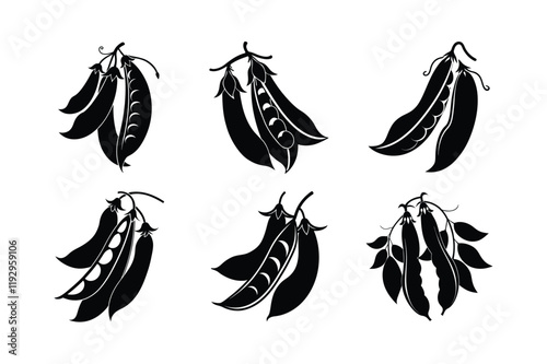 Snap Peas (Pisum sativum var. macrocarpon) design, labeled silhouette vector illustration photo