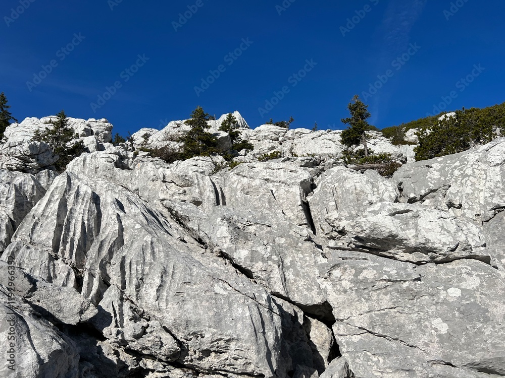 Fototapeta premium Limestone rocks and karst mountain landscape - Northern Velebit National Park, Croatia (Vapnenačke stijene i krški planinski krajolik - Nacionalni park Sjeverni Velebit, Hrvatska)