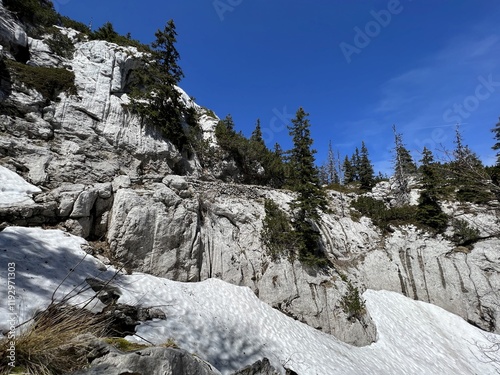 Limestone rocks and karst mountain landscape - Northern Velebit National Park, Croatia (Vapnenačke stijene i krški planinski krajolik - Nacionalni park Sjeverni Velebit, Hrvatska) photo