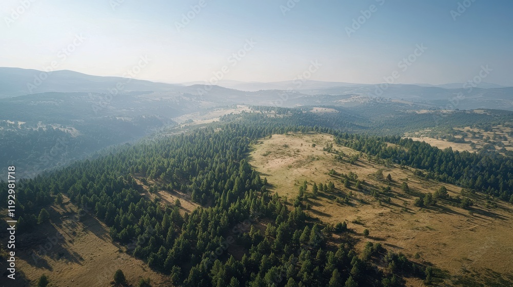 Naklejka premium Aerial view of forested hills nature landscape mountainous region serene environment wide angle earth perspective