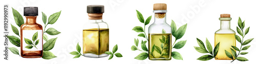 Watercolor  of Sesame Oil Bottles