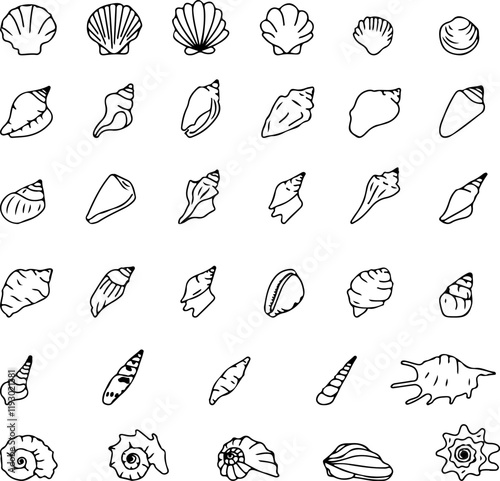 The seashell icon. A set of linear pearl shell icons. Vector icons of seashells. Black linear seashell icons
