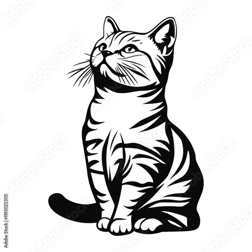 Cat Vector Design	