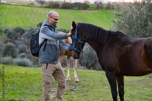 Close-up of men hand caressing beautiful horse head  . Love to animal, care, tenderness, friendship, faithfulness and farming concept.