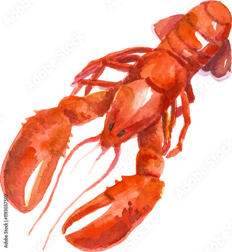 Watercolor painted lobster. Hand drawn fresh seafood design element isolated on white background.