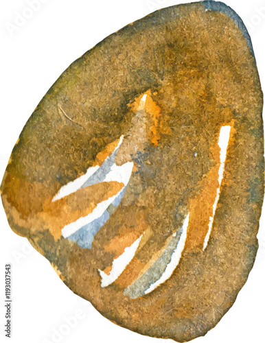 Watercolor painted clam. Hand drawn fresh seafood design element isolated on white background.