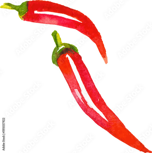 Watercolor painted chili pepper. Hand drawn fresh food design element isolated on white background.
