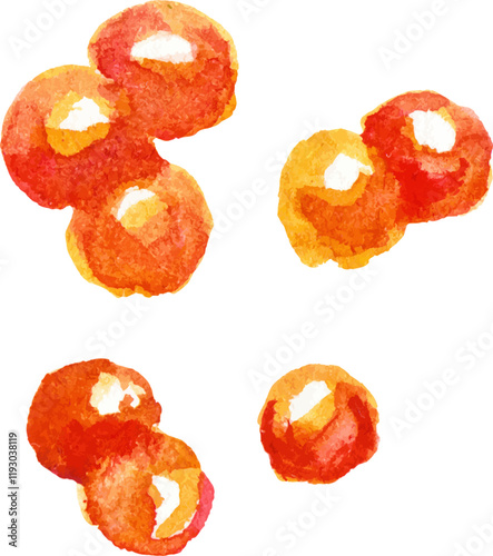Watercolor painted red caviar. Hand drawn fresh seafood design element isolated on white background.