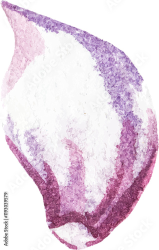 Watercolor painted garlic. Hand drawn fresh food design element isolated on white background.