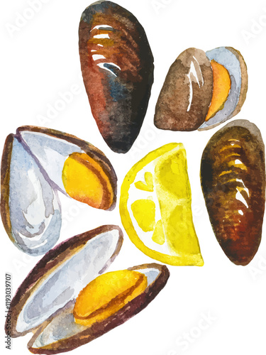 Watercolor painted mussels. Hand drawn fresh seafood design element isolated on white background.