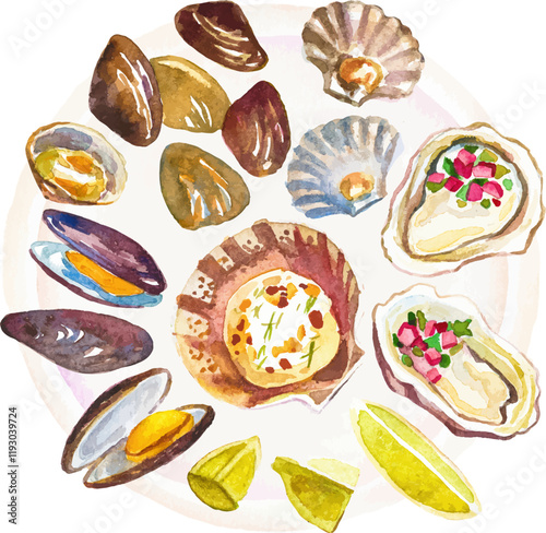 Watercolor painted clams. Hand drawn fresh seafood design element isolated on white background.